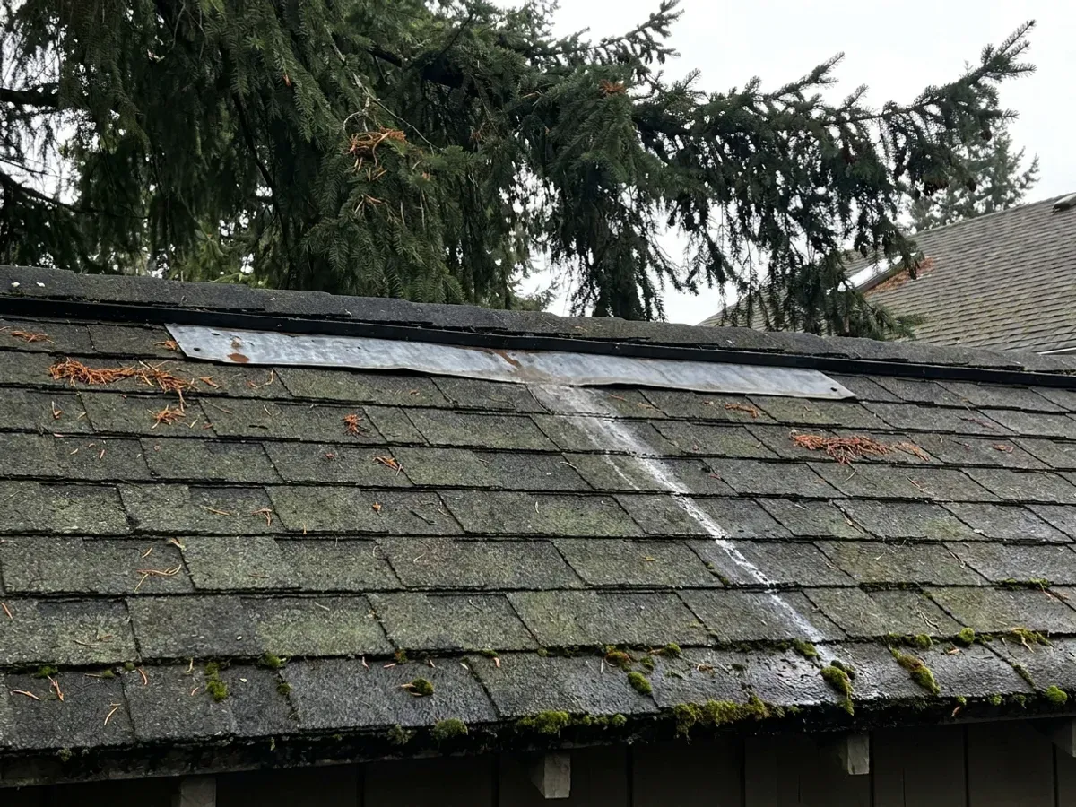 Zinc strip fitted along the ridge of a shingle roof with a Douglas fir canopy overhanging the slope below